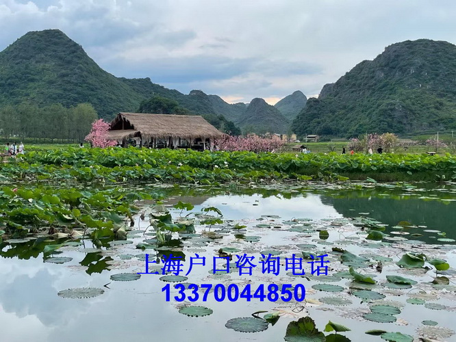 上海落戶不再難！2026 最全落戶方式盤(pán)點(diǎn)，普通人